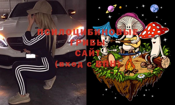 индика Абаза