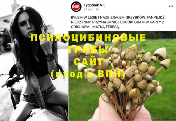 MDMA Абинск