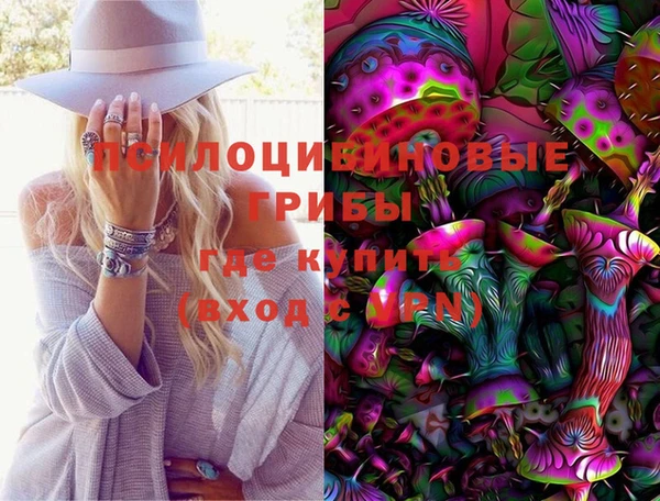 индика Абаза