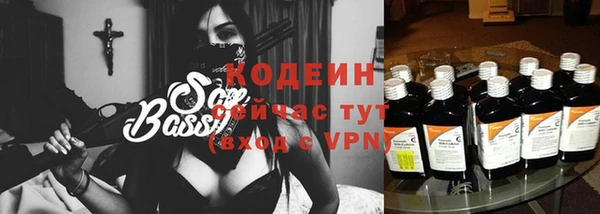 индика Абаза