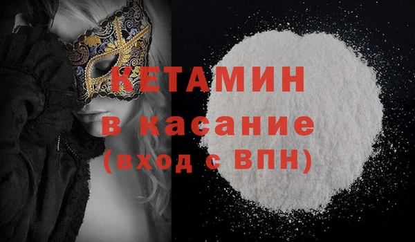 индика Абаза