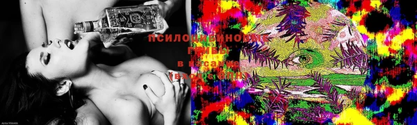 прущая мука Алзамай