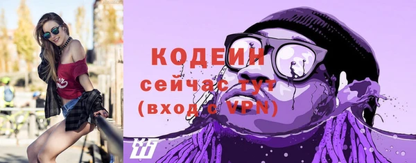 индика Абаза