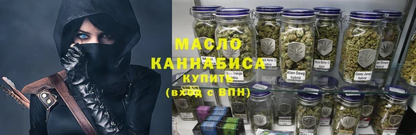 индика Абаза